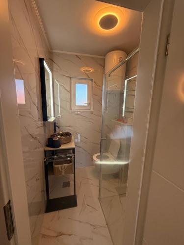 a bathroom with a shower and a toilet and a sink at Apartman Pijuk in Slatine