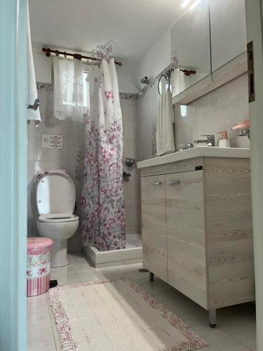 a bathroom with a toilet and a sink at Marina's House in Gaios