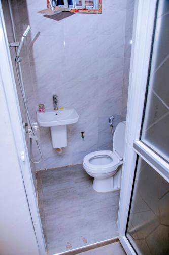 a small bathroom with a toilet and a sink at ExtraMile Apartments - Cozy Studio in Dodoma