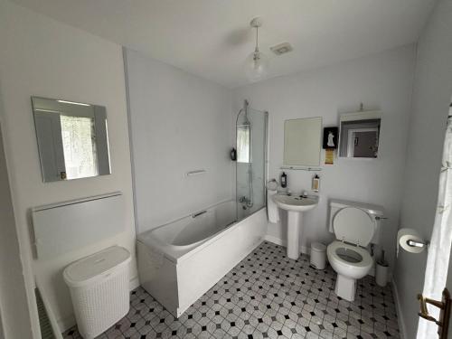 a bathroom with a tub and a toilet and a sink at Castleroddy House - spacious country house - king beds - extensive parking in Lislap
