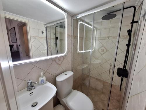 a bathroom with a shower and a toilet and a sink at Casa di TSANES in Pinakokhórion