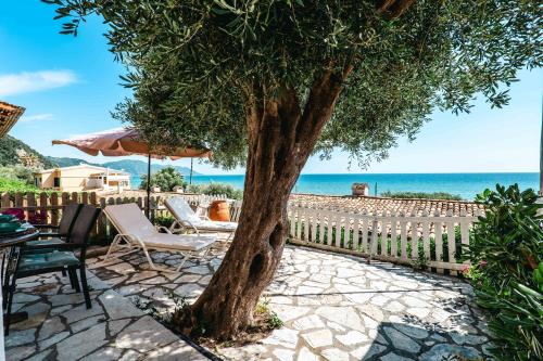 a tree with chairs and an umbrella next to the ocean at Corfu Dream Holidays Villas in Glyfada