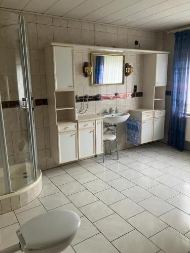 a bathroom with a shower and a sink and a toilet at Haus Eichholz in Tellingstedt