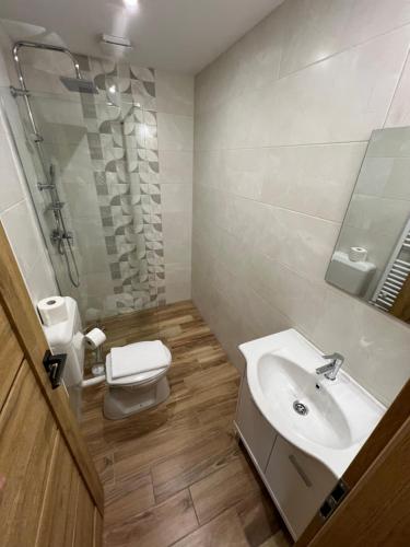 a bathroom with a sink and a toilet at Tejmalom Szálló in Sárrétudvari