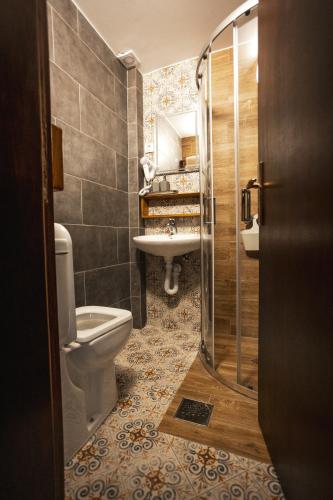 a bathroom with a toilet and a sink at Vodenica kod Uče in Gukoš