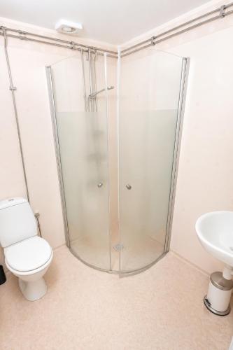 a shower in a bathroom with a toilet and a sink at Husby Wärdshus in Dala Husby