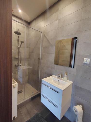 ein Badezimmer mit Waschbecken und Dusche in der Unterkunft Hotel Wołów in Wołów