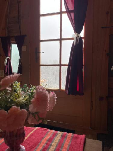 a vase of flowers on a table with a window at Malajac Bigrenica in Bigrenica