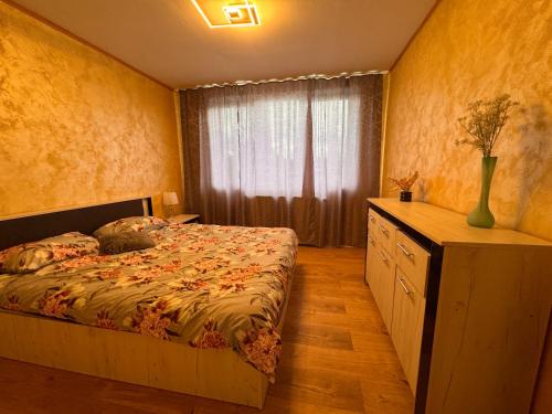 a bedroom with a bed and a window at Andra apartament in Petroşani