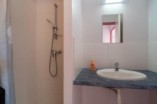 a bathroom with a sink and a shower at Les Chouettes - Au Soleil Breton in Saint-Nic