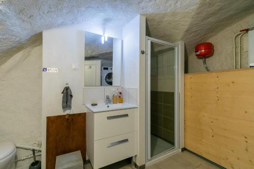 a bathroom with a sink and a shower at Les Rochas - Duplex pour 7 personnes in Champcella