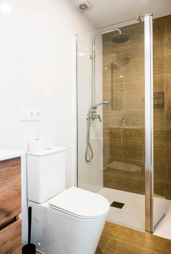 a bathroom with a toilet and a shower at A Calexa Sarria nº2 in Sarria