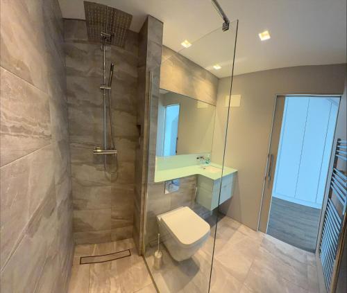 a bathroom with a toilet and a sink and a shower at Slate House in Ballybunion