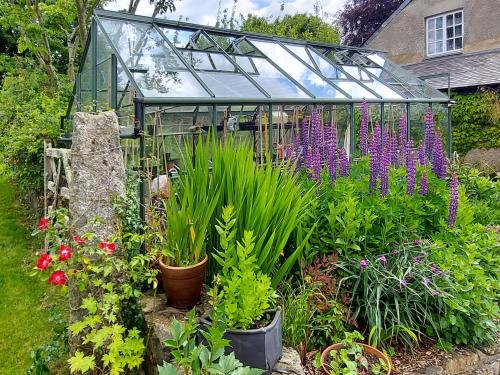 a garden with flowers and plants in a greenhouse at Little Forda in Chillaton