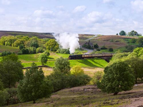 a steam train is traveling through a field at Craven Bungalow in Allerston