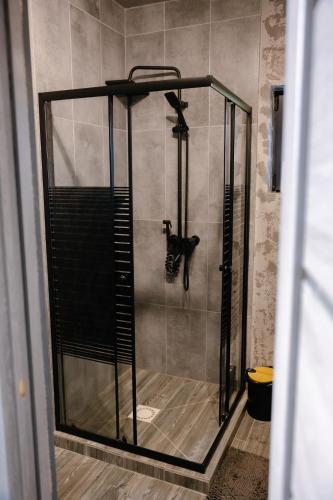 a shower in a bathroom with a black cat in it at Horizon Славсько з чаном,басейном in Khashchovanoye