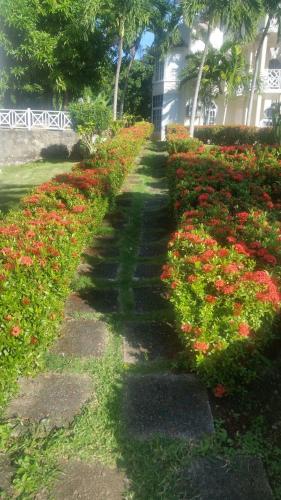 Jardín al aire libre en Chill on the Hill
