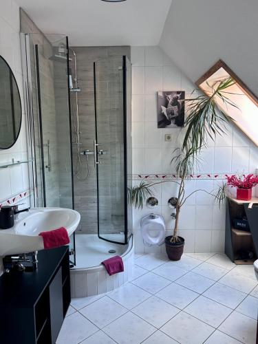 a bathroom with a shower and a sink and a toilet at Ferien in Sachsen in Schmölln
