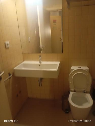 Telhado solitario