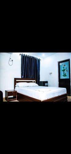 a bedroom with a large bed with blue curtains at Mo Exortic Royale Services in Ikorodu