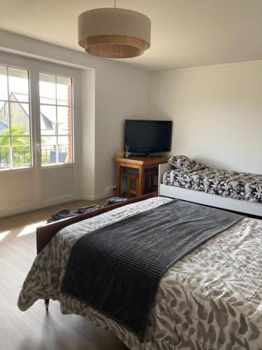 a bedroom with a large bed and a television at Sci Licorne d Or in Saint-Méloir-des-Ondes