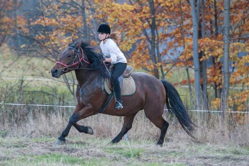 a woman riding on the back of a brown horse at Hotel Klaudia in Juszczyn