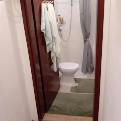 a bathroom with a toilet and a shower at Kuca za prespavati in Bihać