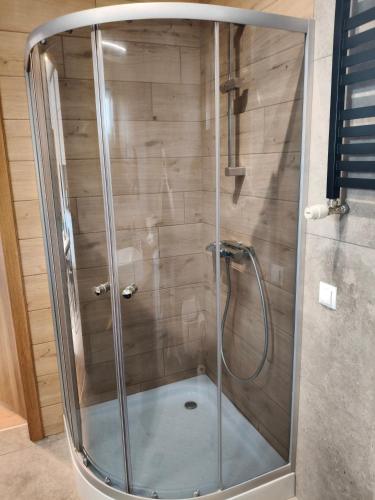 a shower with a glass door in a bathroom at Apartamenty na Ceglanej in Oświęcim