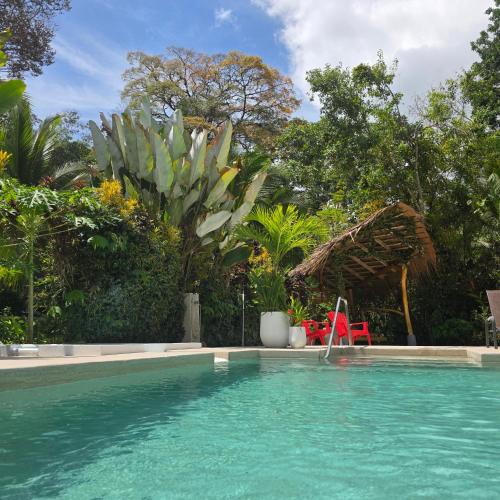 a swimming pool with a red chair and trees at La Rana De Cahuita in Cahuita