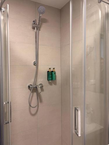a shower in a bathroom with a glass door at Pension Klatovy in Klatovy