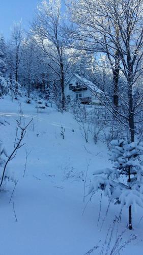 a snow covered field with a house and trees at Șoaptele pădurii & Căsuța din pădure in Suceviţa