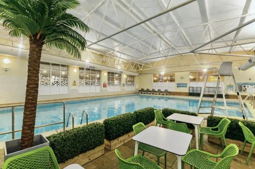 a swimming pool with a palm tree and tables and chairs at North Devon Getaways in Ilfracombe