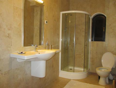 a bathroom with a sink and a shower and a toilet at ,, La Moara '' in Peştişani