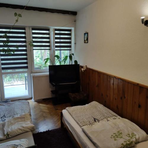 a bedroom with two beds and a tv and windows at Kwatery u Gabrieli in Włodzimierzów