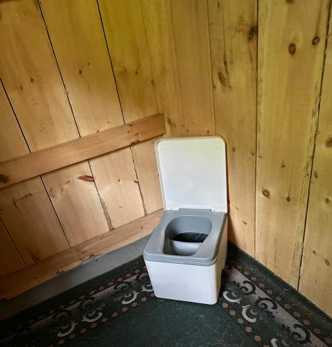 a white toilet in a wooden walled bathroom at Lookout Cabin in Barton