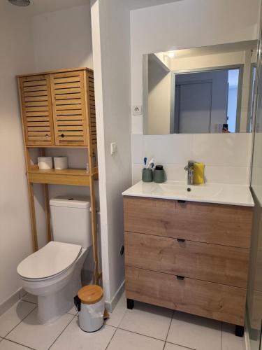 Appartement T1 bis calme proche du canal du midi