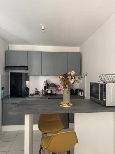 Appartement T1 bis calme proche du canal du midi