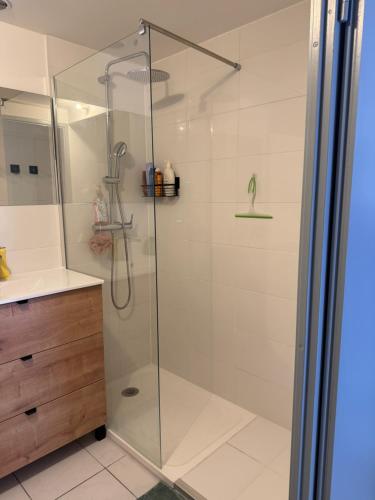 Appartement T1 bis calme proche du canal du midi