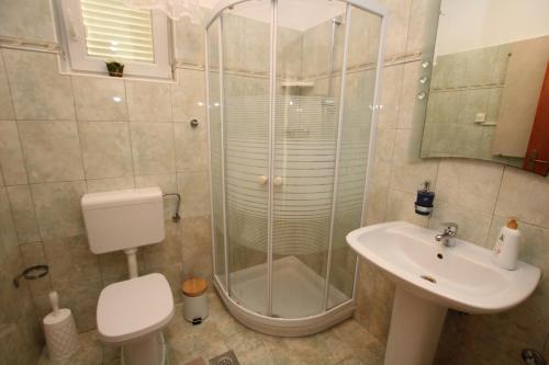 a bathroom with a shower and a toilet and a sink at Elegant Villa Hariz near Poreč - Fully AC & Large Pool in Gedići