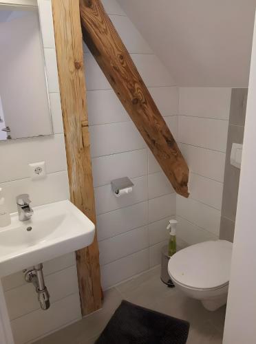 a bathroom with a sink and a toilet at Plösch Hof in Weinberg