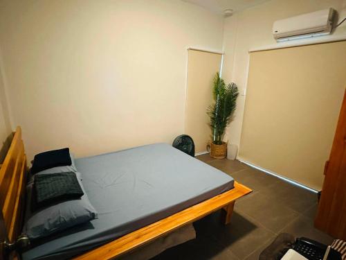 a bedroom with a bed in a room with a plant at The Reef Anilao in Mabini