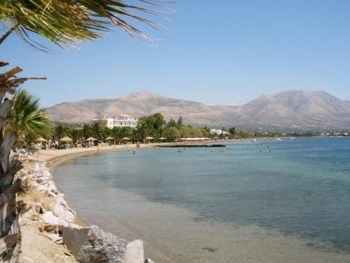 Ein Strand mit einem Haufen Leute im Wasser. in der Unterkunft Diamanto Rooms in Eretria