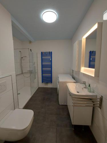a bathroom with a toilet and a sink and a shower at Lotsenwohnung B-9 in Butjadingen