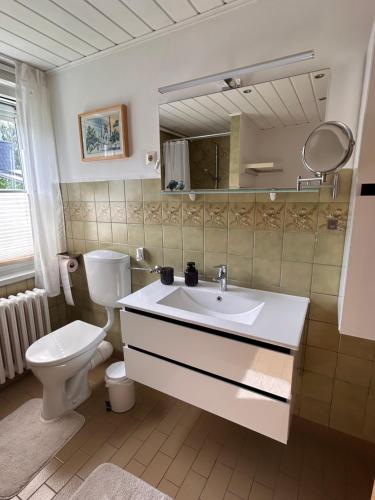 a bathroom with a sink and a toilet and a mirror at Strandläufers Ruhe in Wiepkenhagen