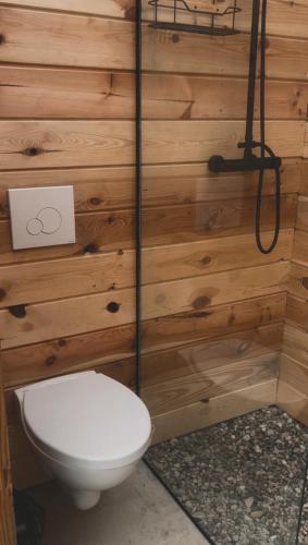 a bathroom with a toilet and a wooden wall at Szykidym in Hartowiec
