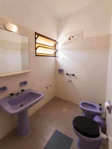 a bathroom with a purple toilet and a sink at KIN Hotel in Villa Carlos Paz
