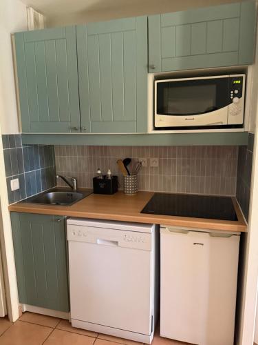 a kitchen with green cabinets and a microwave and a sink at Lake view Appartment in Monflanquin