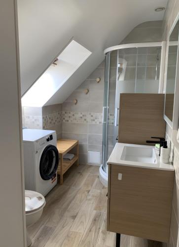 a bathroom with a sink and a washing machine at Chez Martine Et Michel in Pléneuf-Val-André