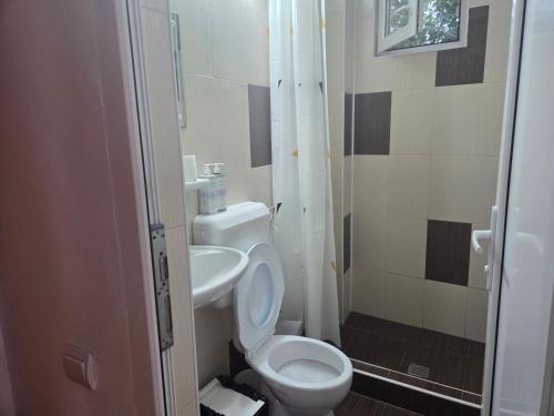 a small bathroom with a toilet and a sink at La Camuflaj 2 Mai in 2 Mai