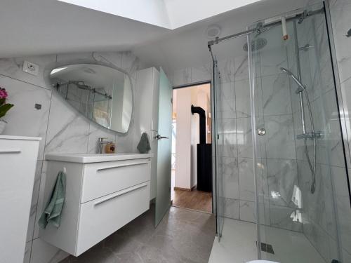 a bathroom with a shower and a sink and a mirror at Apartma Pr`mejač in Laze v Tuhinju